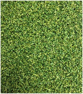6 Metre Wide Golf Putting Artificial Grass Turf Lawn For Gate Ball Curly 15mm PE Curly