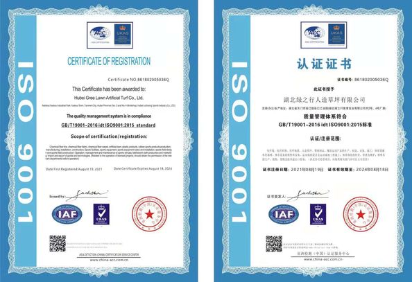 Chiny Green trip sports industry group Certyfikaty
